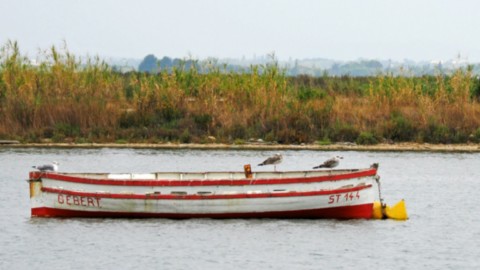 languedoc et roussillon